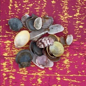 Meet your Posher, Leanne